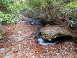 1100 Mile Creek Road - Photo 38