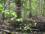Lot 596 Laurel Drive - Photo 3