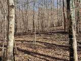 00 Beardon Hollow Road - Photo 5