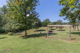 133 A Cann Road - Photo 34