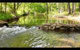 114 Pipe Line Lane - Photo 3