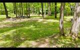114 Pipe Line Lane - Photo 9