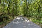 1420 White Oak Drive - Photo 48