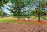 100 Tiger Pond Road - Photo 41