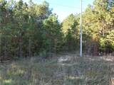 4 Horseshoe Point Drive - Photo 9