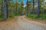 1907 Mountain Creek Church Road - Photo 7