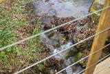 401 Rocky Bottom Road - Photo 19