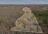 1602 Klugh Road - Photo 39