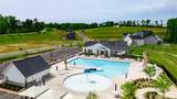 1264 Balsa Tree Drive - Photo 42