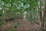 Lot N-25 Jocassee Ridge Way - Photo 5