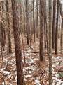 509 Crowe Creek Road - Photo 24