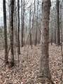509 Crowe Creek Road - Photo 3