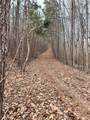 509 Crowe Creek Road - Photo 30