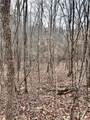 509 Crowe Creek Road - Photo 7
