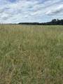 LOT 2 Joyo Road - Photo 3