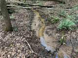 00 Nimmons Bridge Road - Photo 10