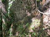 00 Nimmons Bridge Road - Photo 12