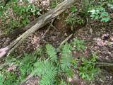 00 Nimmons Bridge Road - Photo 15