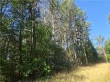 12.3 acres 243 Highway - Photo 11