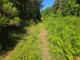 12.3 acres 243 Highway - Photo 13