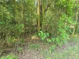 12.3 acres 243 Highway - Photo 14