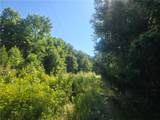 12.3 acres 243 Highway - Photo 15