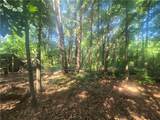 12.3 acres 243 Highway - Photo 6