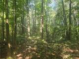 12.3 acres 243 Highway - Photo 8