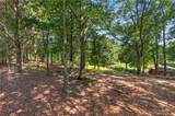 0 Seneca Springs Landing - Photo 13