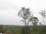 320 Fishers Cove Road - Photo 6