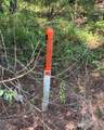 890 Dunklin Bridge Road - Photo 10