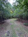 890 Dunklin Bridge Road - Photo 5
