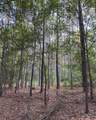 890 Dunklin Bridge Road - Photo 9