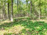 Lot 30 Pointe Harbor Drive - Photo 14