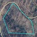000 Left Fork Road - Photo 1