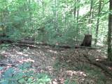 00 Gauley Falls Road - Photo 1