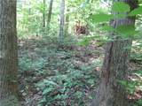 00 Gauley Falls Road - Photo 10