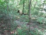 00 Gauley Falls Road - Photo 11