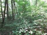 00 Gauley Falls Road - Photo 16
