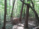 00 Gauley Falls Road - Photo 2