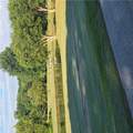 00 Gauley Falls Road - Photo 29