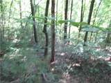 00 Gauley Falls Road - Photo 3