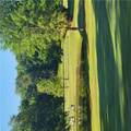 00 Gauley Falls Road - Photo 31