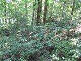00 Gauley Falls Road - Photo 7