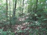 00 Gauley Falls Road - Photo 9