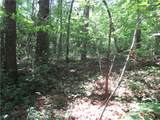 00 Gauley Falls Road - Photo 1
