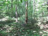 00 Gauley Falls Road - Photo 15
