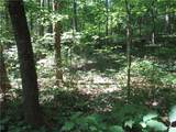 00 Gauley Falls Road - Photo 17