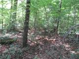 00 Gauley Falls Road - Photo 3