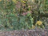 Lot 10 Brookforest Drive - Photo 1
